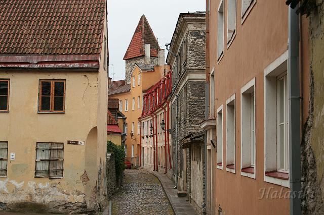 Norwegia (7).JPG - Tallinn - starówka